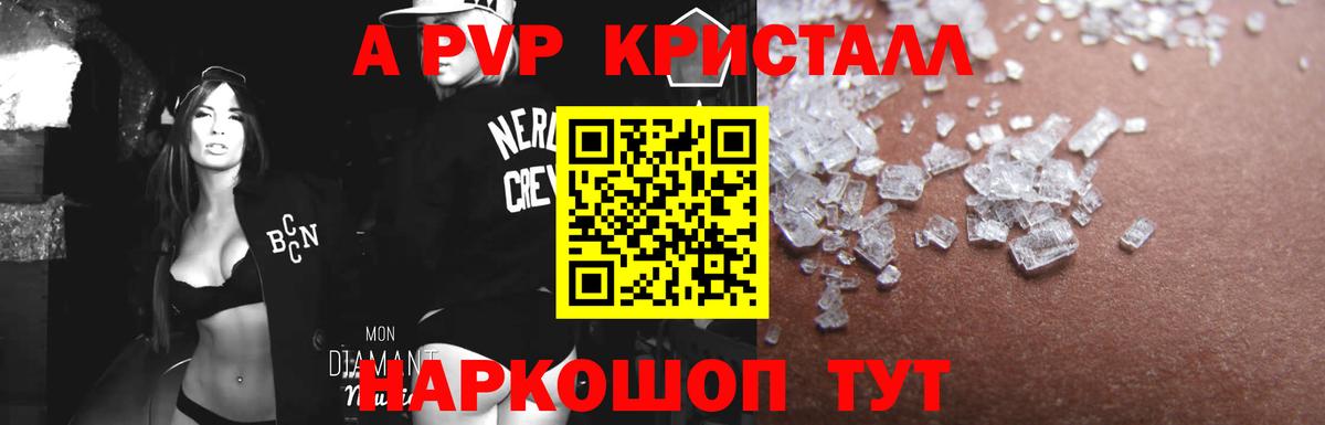 A PVP СК КРИС Волгоград