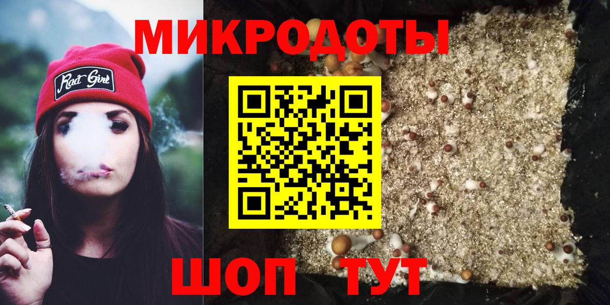 Галлюциногенные грибы Cubensis Волгоград